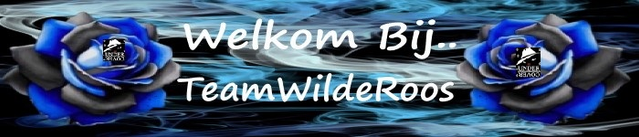 Geen banner beschikbaar of onjuiste banner URL